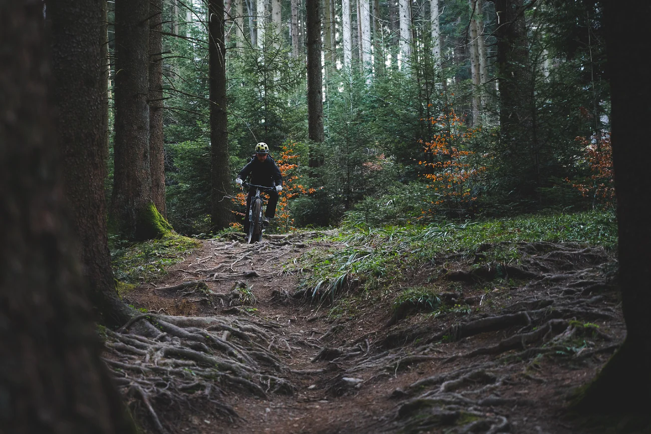 Carpathian Ride E-MTB experience