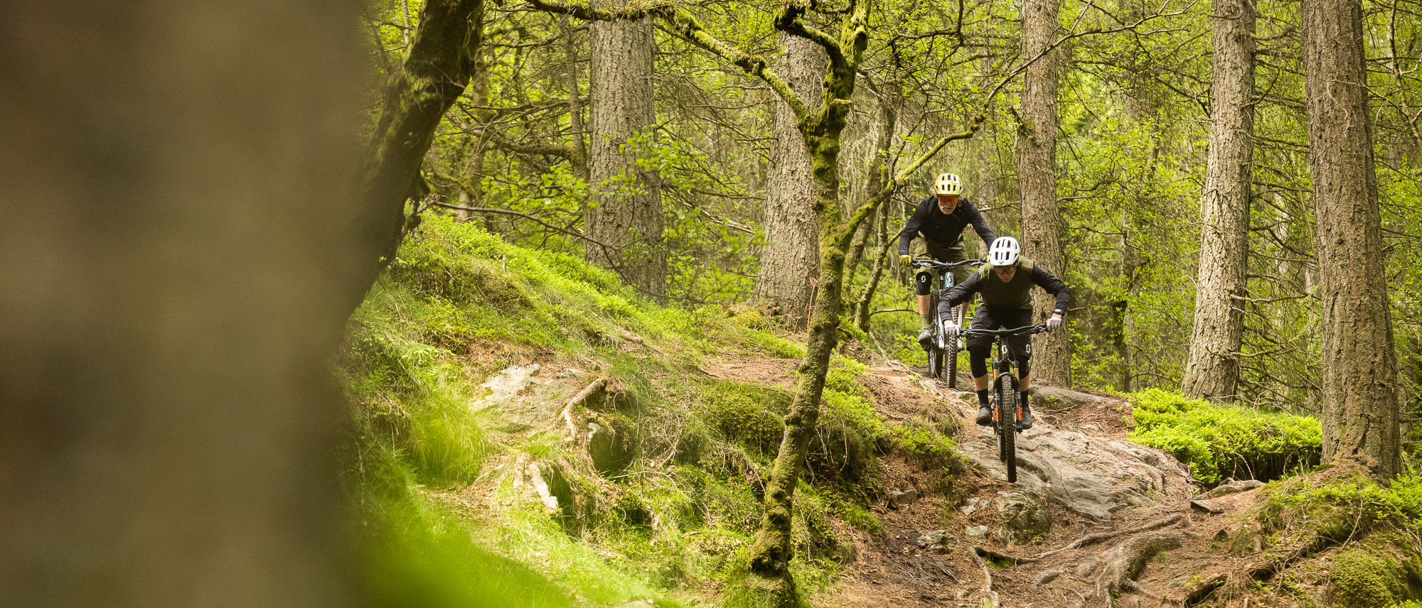 Carpathian Ride E-MTB experience
