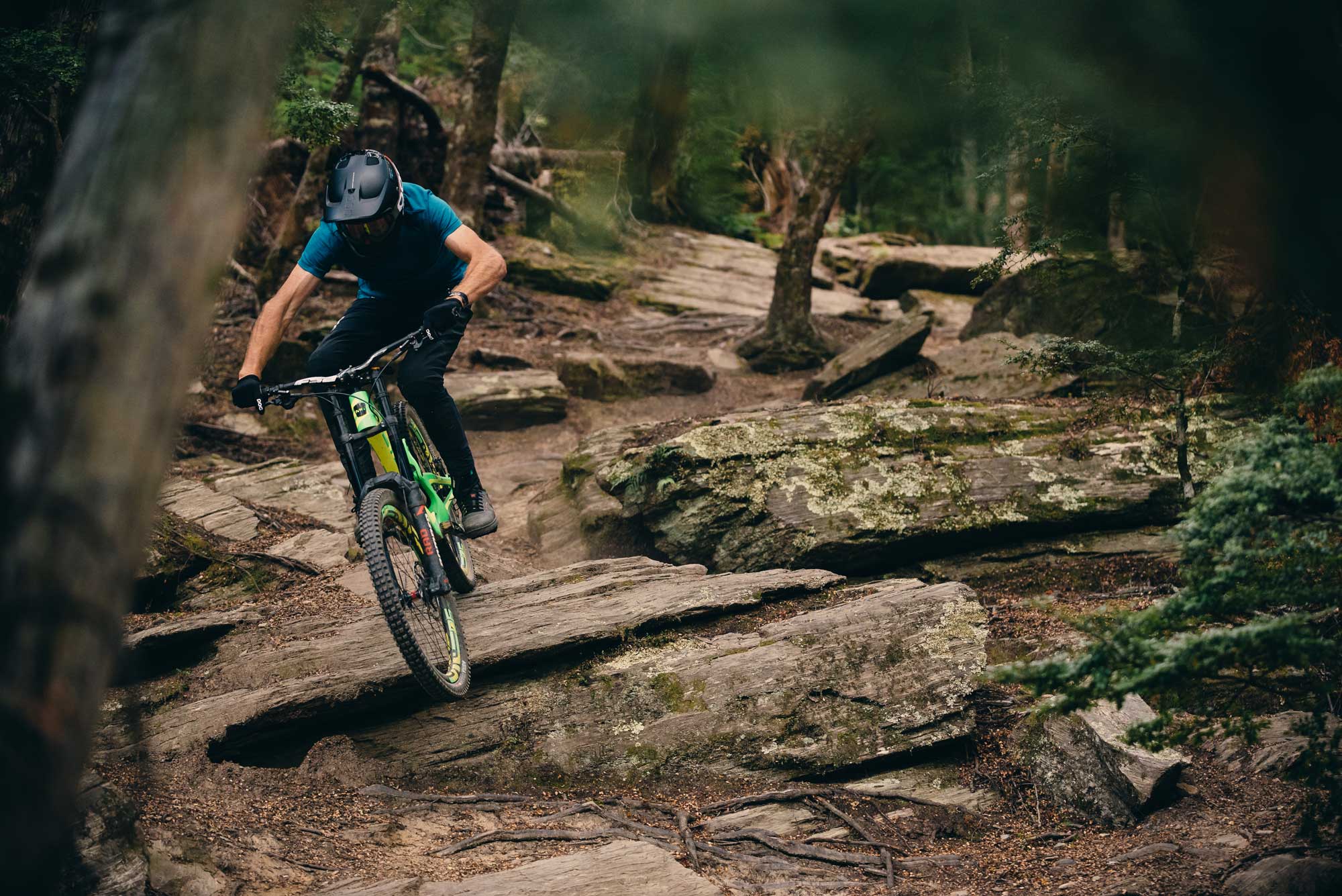 Trail 11