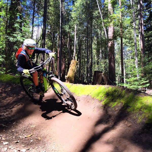 Trail 6