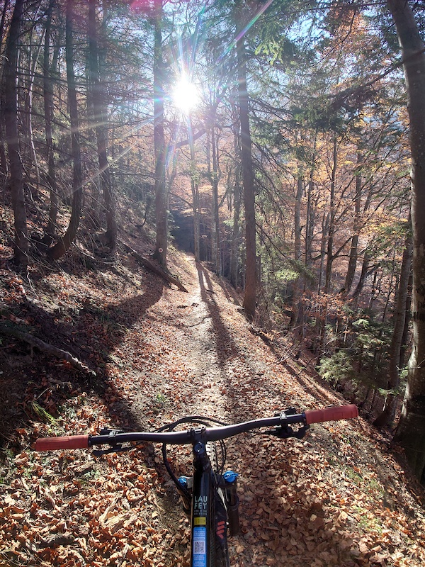Trail 7